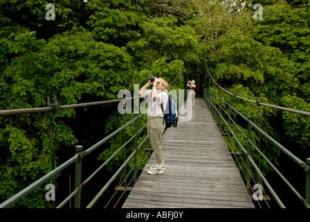 Due ecotourists osservando e photgraphing selvatici nel primario della foresta pluviale di pianura presso la Selva La Stazione Biologica Costa Rica Foto Stock