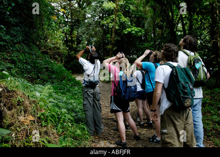 Giovani ecotourists su uno studente di viaggio con una Costa Rican guida naturalista osservazione faunistica in Monteverde Cloud Forest Foto Stock