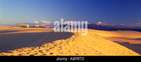 Europa Isole Canarie Fuerteventura Corralejo dune di sabbia Foto Stock