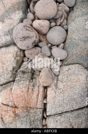 Massi vicino a Otter Cliffs Acadia Maine Foto Stock