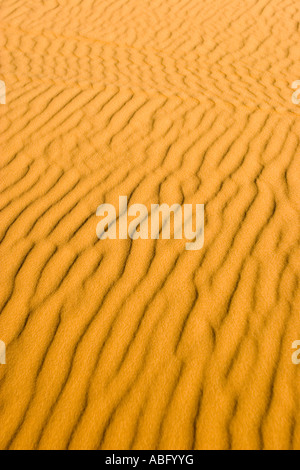 Ripples nel Sahara Duna Erg Chebbi Marocco Foto Stock