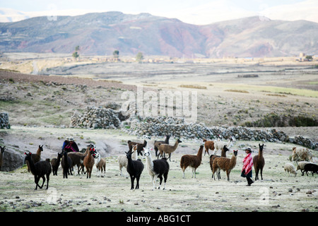 Il festival annuale dei combattimenti tra villaggi conosciuto come Tinku a Maca Bolivia. Foto Stock