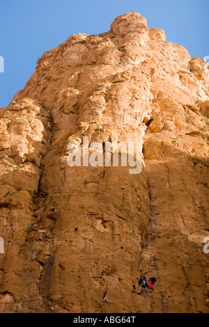 Arrampicatori scogliere di scala delle Gorges du Todra Marocco Foto Stock