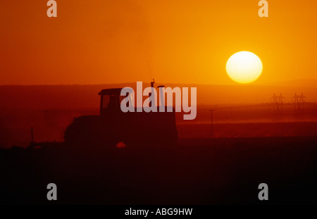 Un trattore aratri a California il campo mentre il sole tramonta. Foto Stock