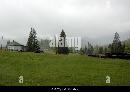 Borgo Pass, Transilvania, Romania, featured in Bram Stoker's romanzo Dracula. Foto Stock