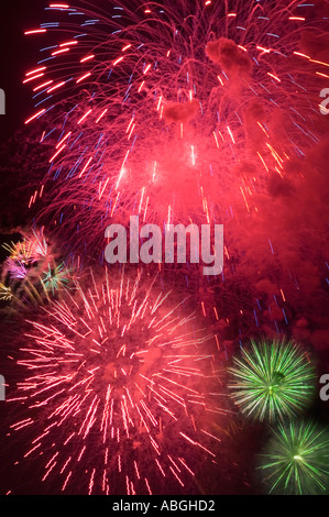 Fuochi d'artificio nel cielo notturno Foto Stock