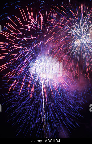 Fuochi d'artificio nel cielo notturno Foto Stock