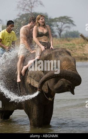 Giocoso elephant schizzi bikini top donna in fiume su trek nei pressi di Pai a nord della Thailandia Foto Stock