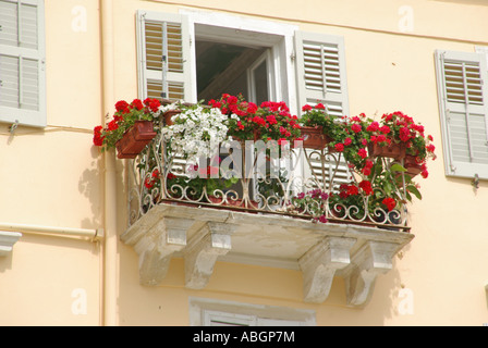 Corfù Città Vecchia tipico appartamento balcone con display a colori dei fiori estivi Foto Stock