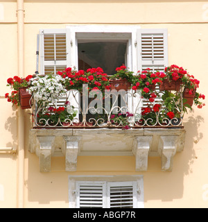 Corfu isola greca di Corfù tipico appartamento balcone con display a colori dell'estate fiori di biancheria da letto Foto Stock