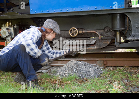 L'addensarsi di Darjeeling a scartamento ridotto treno a vapore nel Galles del Nord sul Ffestiniog railway cinquantesimo anniversario Foto Stock