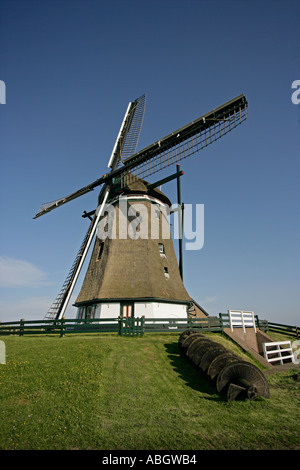 Mulino a vento Molen Het Noorden Texel Holland Foto Stock