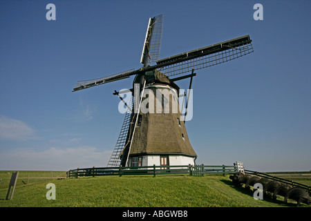 Mulino a vento Molen Het Noorden Texel Holland Foto Stock