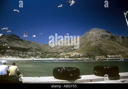 Hout Bay port o porto nei pressi di Città del Capo, Sud Africa Foto Stock