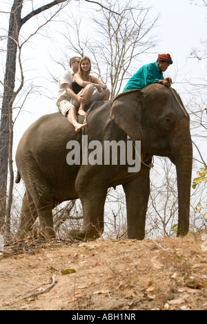 Giovane uomo donna su elephant trekking nei pressi di Pai a nord della Thailandia Foto Stock