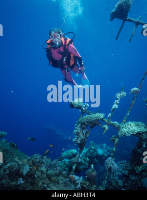 Babs Jackson immersione sul relitto Umbria Port Sudan Wingate Reef Mar Rosso Sudanese Oceano Indiano 10 070 tonnellate autoaffondato 12 06 1940 Foto Stock