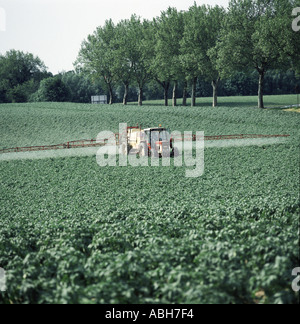 Trattore con irroratrice trainata la spruzzatura pre fioritura di raccolto di patate in Belgio Foto Stock