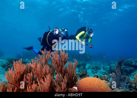 Due sommozzatori nuoto su una scogliera in Bonaire Foto Stock