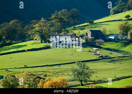 Un Lake District inglese farm arroccato su una collina e girato a inizio autunno in bella luce solare con alberi e colline scuro Foto Stock