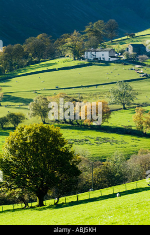 Un Lake District inglese farm arroccato su una collina e girato a inizio autunno in bella luce solare con alberi e colline scuro Foto Stock