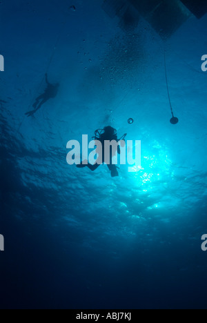 Scuba Diver facendo una sosta di sicurezza nel Golfo del Messico off Texas Foto Stock