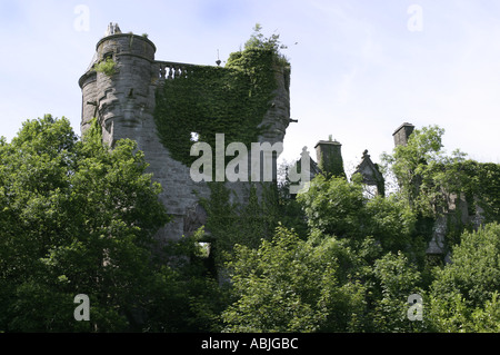 Il rovinato ed incolto Buchanan Castle Drymen Scozia Scotland Foto Stock