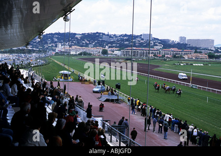 Horse Racing all ippodromo Borely Marsiglia Francia Foto Stock