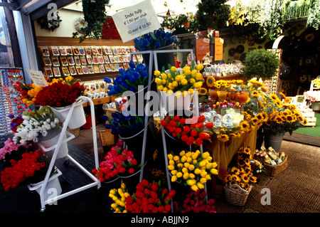 Amsterdam Holland Bloemenmarkt - l'unico mercato galleggiante dei fiori al mondo sul canale Singel Foto Stock