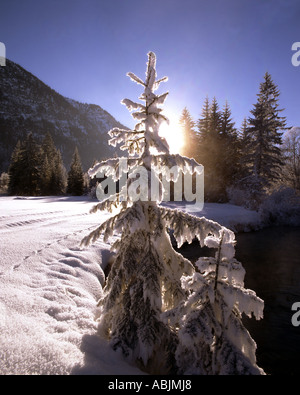 DE - Baviera: scena invernale vicino a Ettal Foto Stock