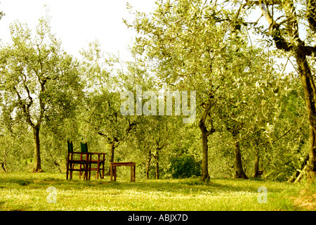 Luogo tranquillo in cui rilassarsi recreation area in Oliveto Toscana Italia Foto Stock