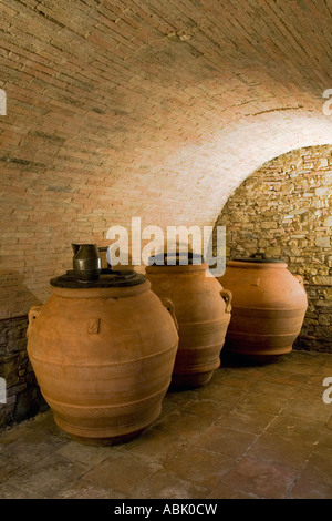 Olio d'oliva Terracotta, o Terra cotta, contenitori scuri-vasetti o anfore alla Cantina, Casa sola Poggibonsi Toscana Italia, Europa, UE Foto Stock