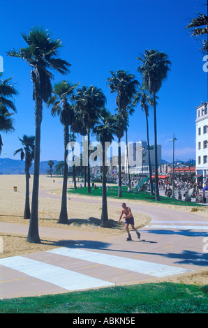 VENICE BEACH LOS ANGELES CALIFORNIA Foto Stock