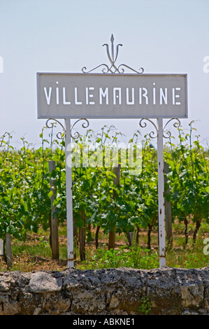 Un segno bianco nella vigna dicendo Chateau Villemaurine Saint Emilion Bordeaux Gironde Aquitaine Francia Foto Stock