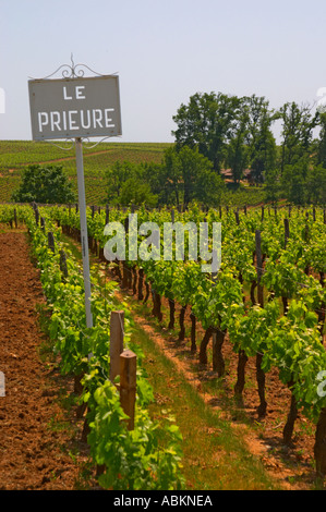 Un segno bianco nella vigna dicendo Chateau Le Prieure Saint Emilion Bordeaux Gironde Aquitaine Francia Foto Stock