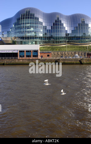 Vista la conferenza di salvia e il Music Center building in Gateshead Tyne and Wear, Gran Bretagna interno parete esterna di vetro Foto Stock