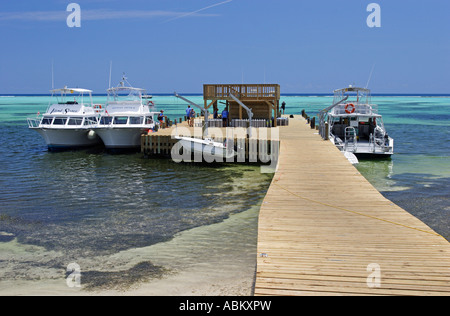 Barche per immersioni su un dock nella regione dei Caraibi Foto Stock