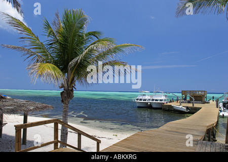 Barche per immersioni su un dock nei Caraibi, Isole Cayman Mar dei Caraibi Foto Stock