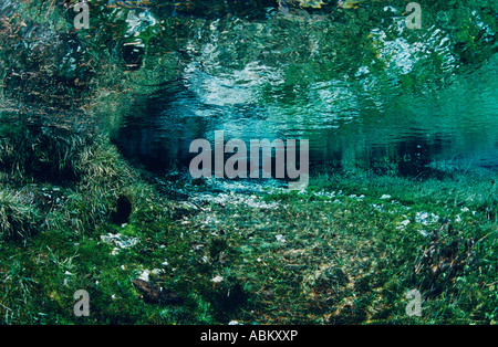 Crystal clear mountain lake Foto Stock