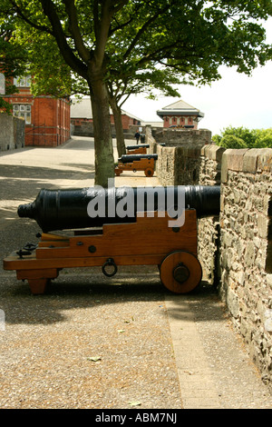 Canoni sulle pareti della storica città di Derry. Irlanda del Nord Foto Stock