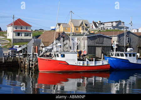 Il famoso villaggio di pescatori Peggys Cove faro, Nova Scotia Canada America del Nord. Foto di Willy Matheisl Foto Stock