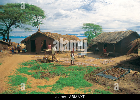 I pescatori essiccamento al sole ciclid pesce di lago vicino a casa di lakeside villaggio di pescatori nei pressi di Chiweta nord del Malawi Foto Stock