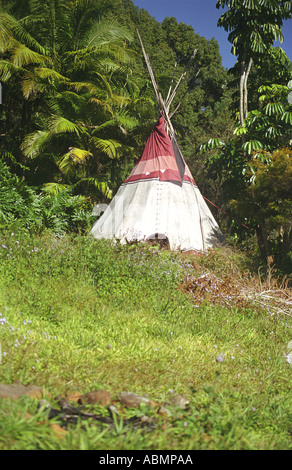 Un vissuto in tende Tepee su una proprietà privata in byronshire nord del Nuovo Galles del Sud Australia Foto Stock