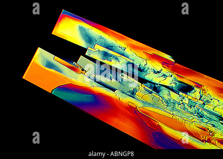 I cristalli coltivati da Coldrex formata sul vetrino del microscopio da soluzione etanolica X100 Foto Stock