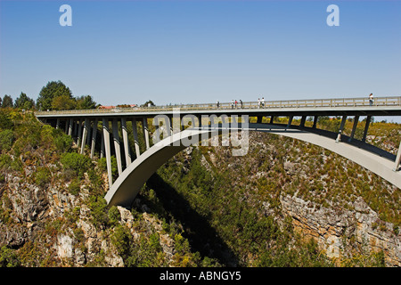 Tsitsikamma tempeste river bridge Foto Stock