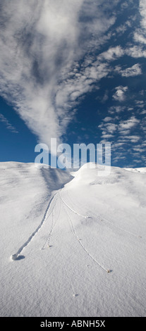 Snowball rotolando giù orrido, Stikine River Provincial Park, British Columbia, Canada Foto Stock