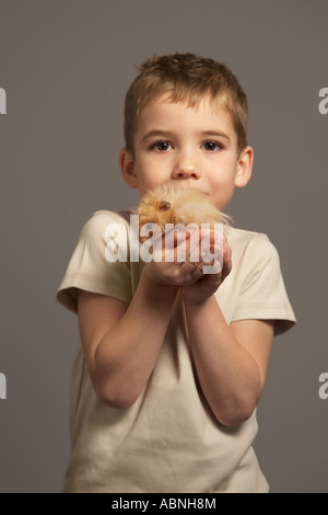 Little Boy Holding Hamster Foto Stock