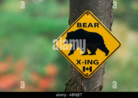 Bear Crossing segno, Algonquin provinciale, Park, Ontario, Canada Foto Stock