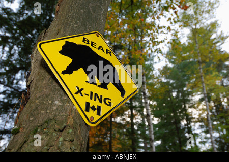 Bear Crossing segno, Algonquin provinciale, Park, Ontario, Canada Foto Stock