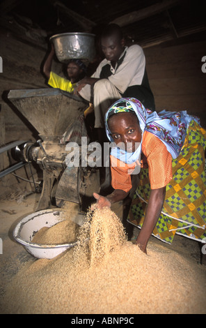 In Ghana, gli agricoltori locali vittime di ingiustizie del commercio mondiale lavora per asciugare il loro riso per vendere Foto Stock