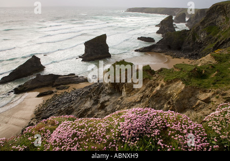 Tregurrian North Cornwall Regno Unito può Foto Stock